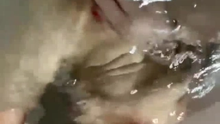 雪白肥臀一下下撞击直达骚穴深处