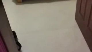 非洲少女大屁股吸黑鸡巴